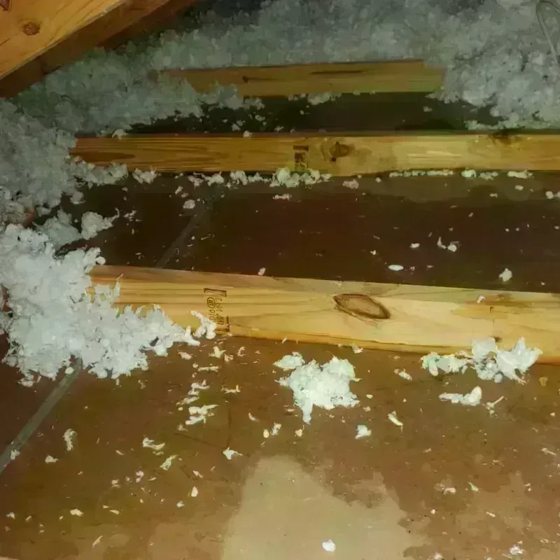 Attic Water Damage in Hughestown, PA